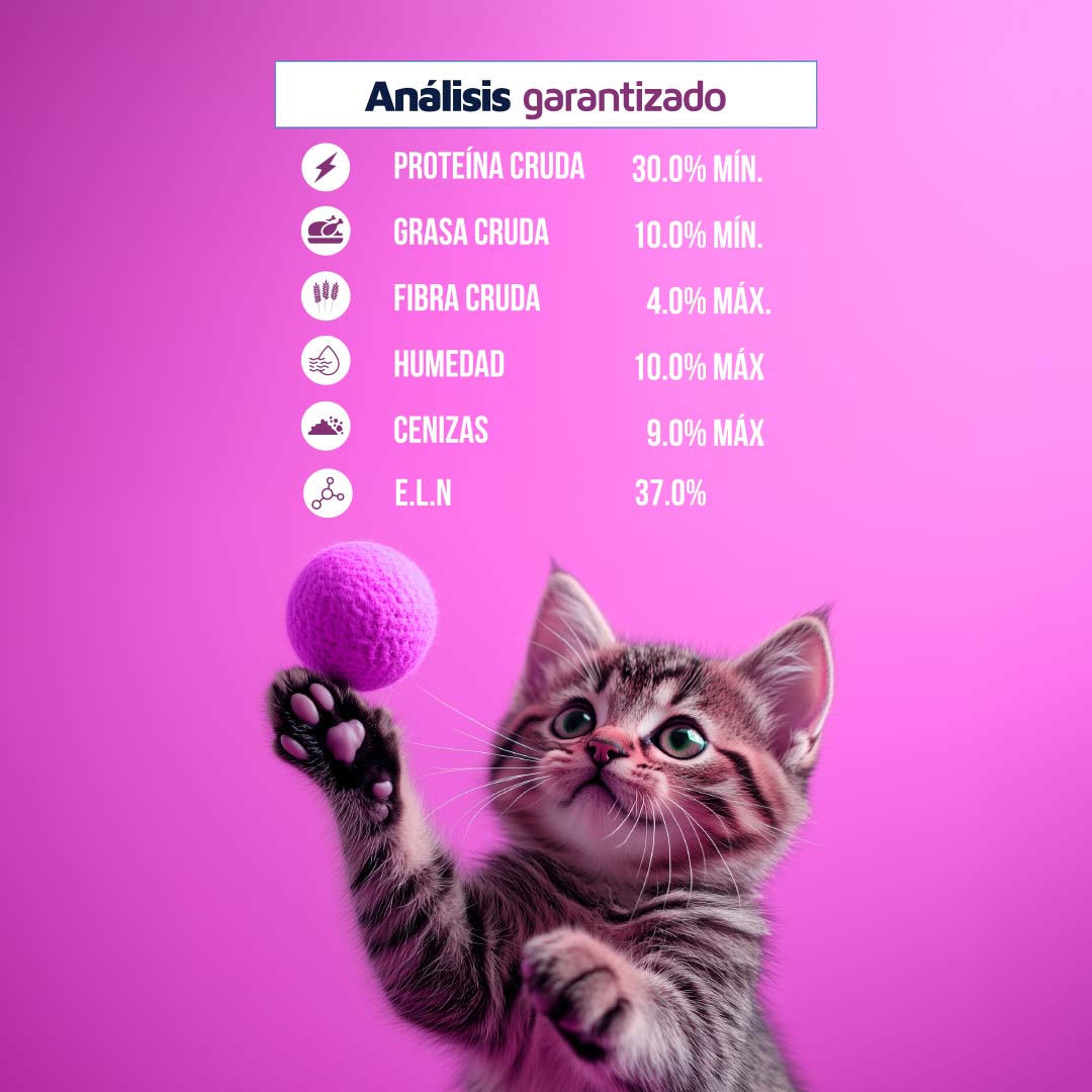 Hi Cat - 15Kg