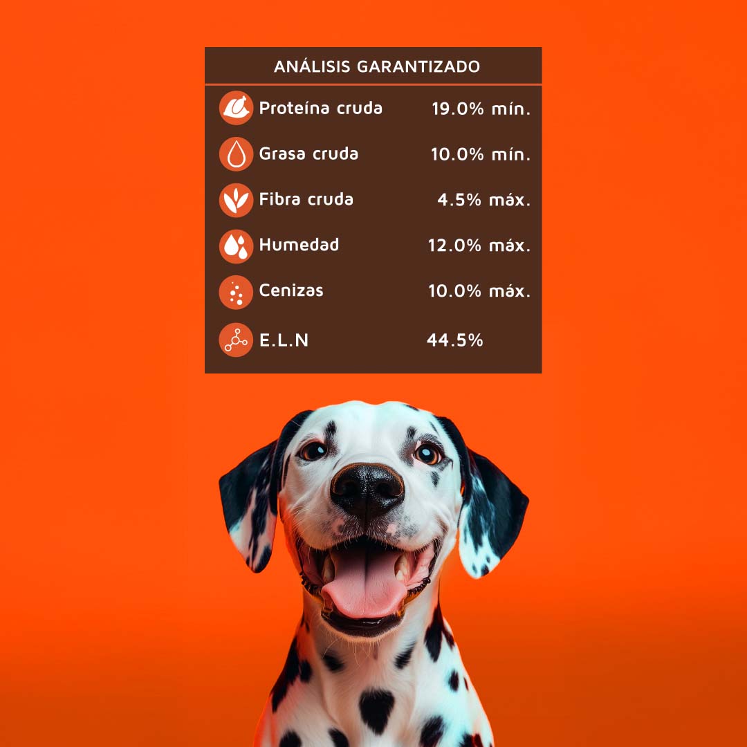 Hi Dog - 25kg