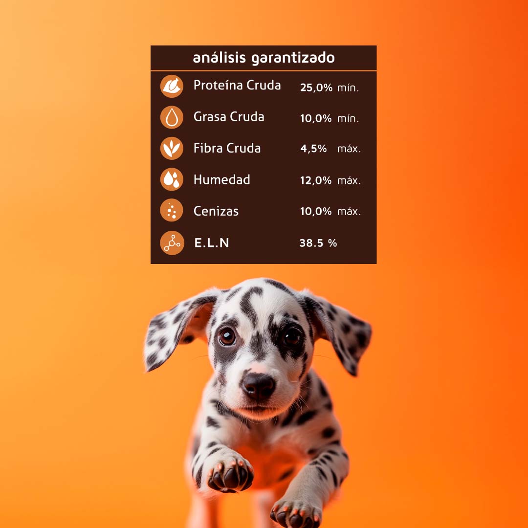 Hi Dog Cachorro - 20kg
