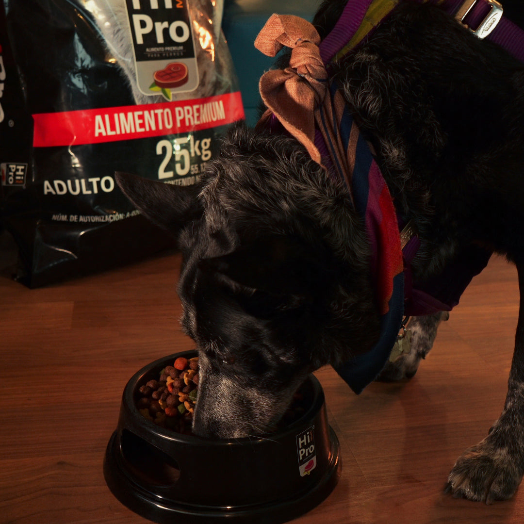 Hi Multi Pro Adulto - 7Kg
