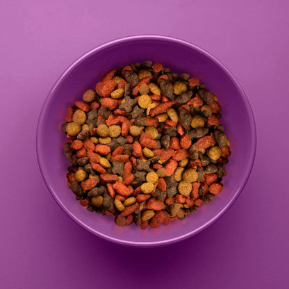 Hi Cat - 15Kg