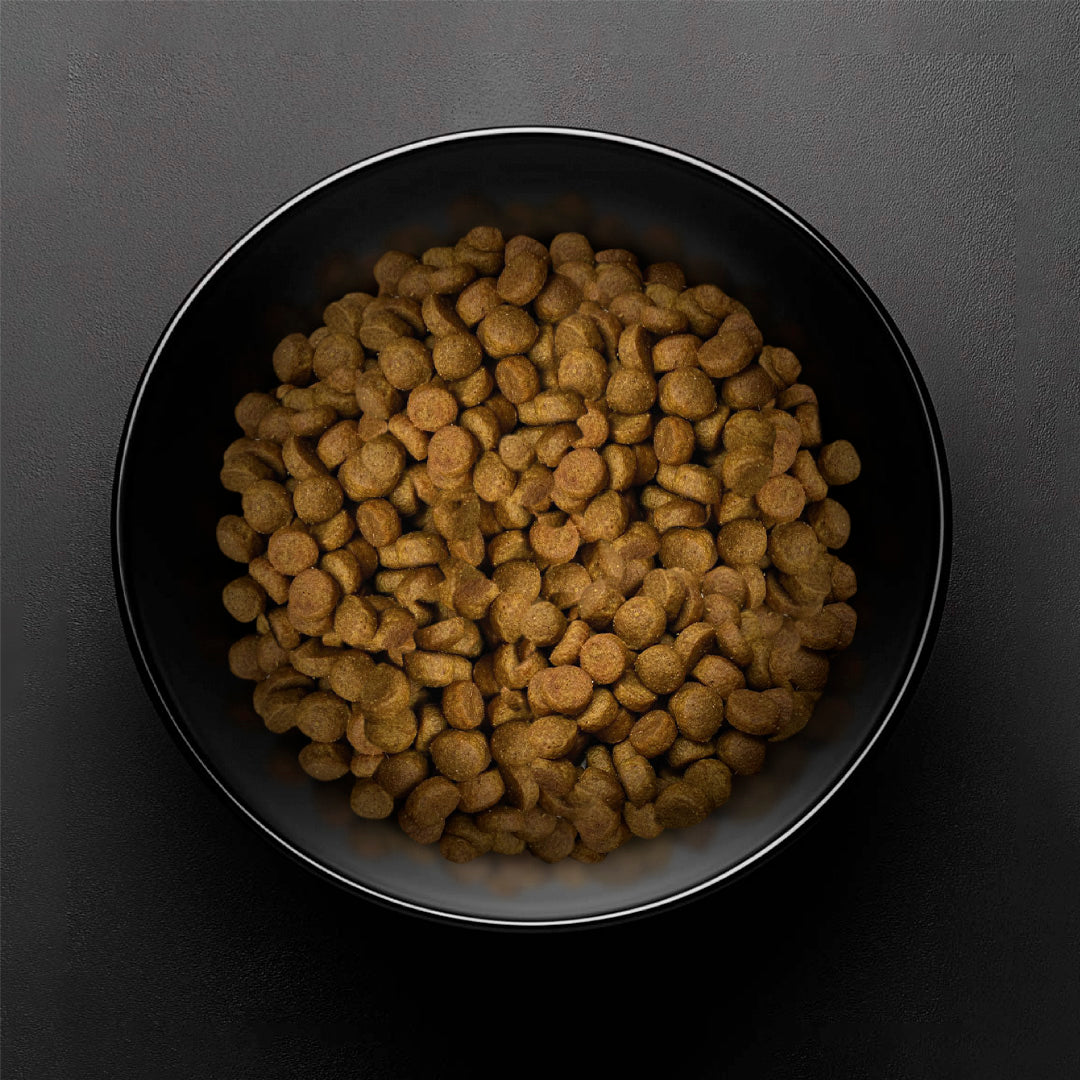 Pet Evolution - 18 Kg