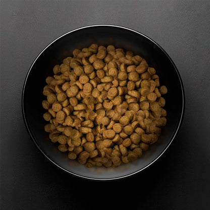 Pet Evolution - 18 Kg