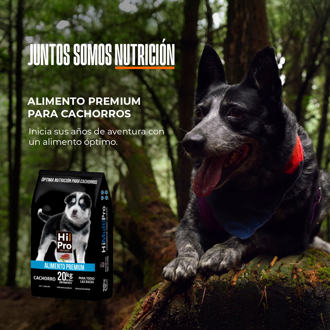 HI MULTI PRO Alimento Premium Cachorro 4 Kilos, 100% Balance Nutricional. con probióticos, Calcio y Proteínas de Alto Valor biológico